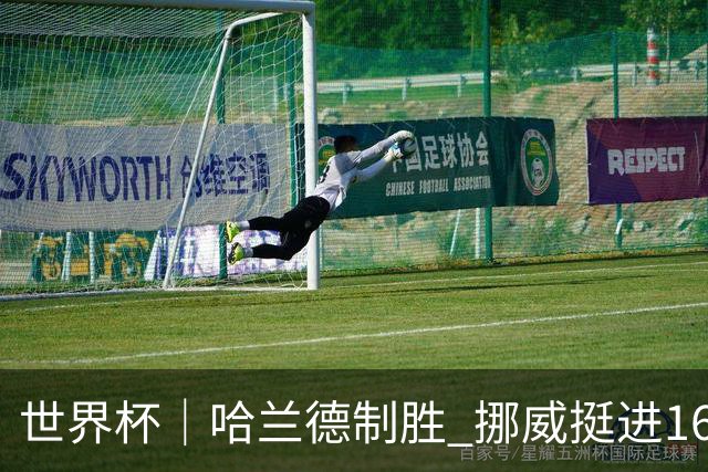 世界杯｜哈兰德制胜 挪威挺进16强将战巴西