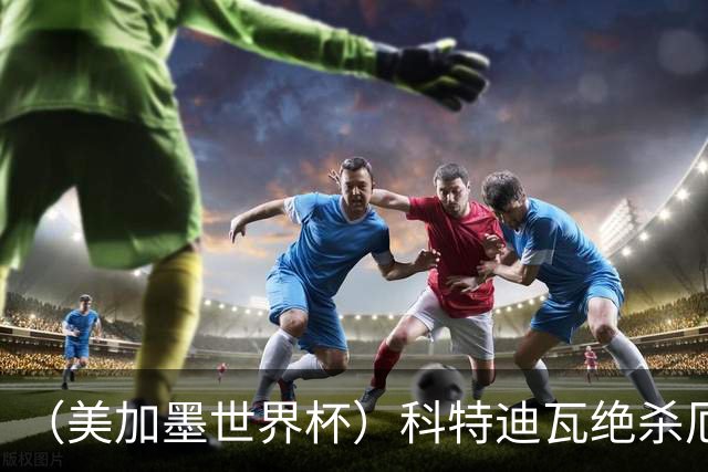 （美加墨世界杯）科特迪瓦绝杀厄瓜多尔 瑞典5:1大胜突尼斯
