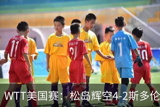 WTT美国赛：松岛辉空4-2斯多伦科首夺大满贯赛冠军